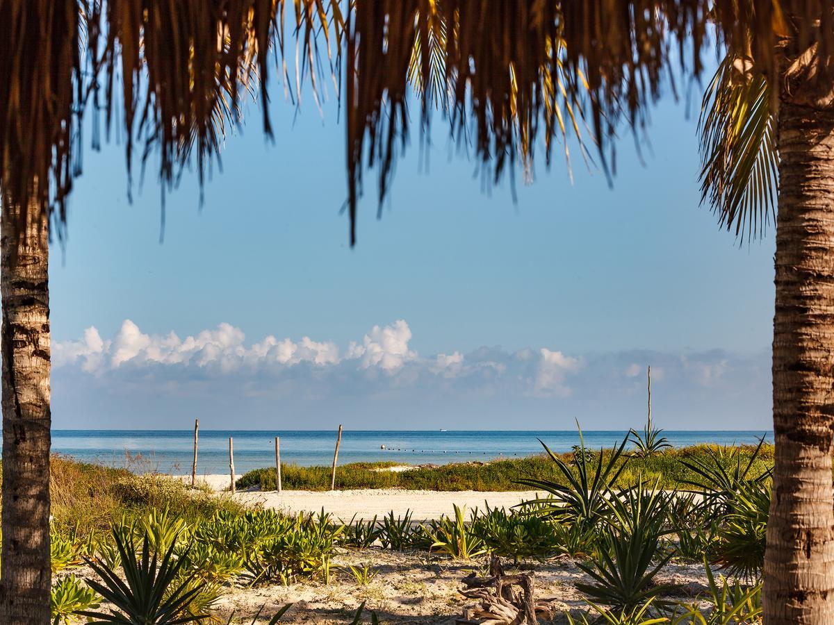 Villas Hm Palapas Del Mar Isla Holbox Bagian luar foto